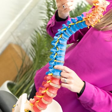 spine