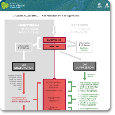 Robert Verkerk PhD - Alliance for Natural Health International