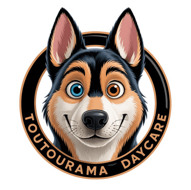 a dogueueueueueueueueueueueueueue