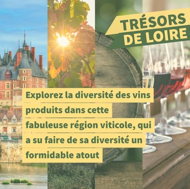 cours oenologie vin loire