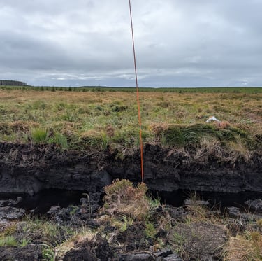 Peat cutting probe survey