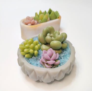 a small bowl with succulents made from soap