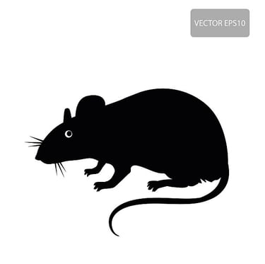 Pest Control Rodent Control in Menifee Footprint Pest Management