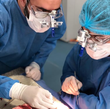 Surgeons in scrubs using dental loupes and headlamps to perform a complex oral surgery procedure.