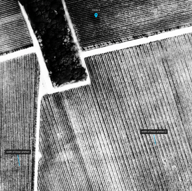 View of a vineyard showing features exposed by using NIR 
