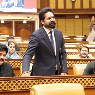 Saqib Khan Chadhar MPA PP-97 Chiniot Speaking in Punjab Assembly