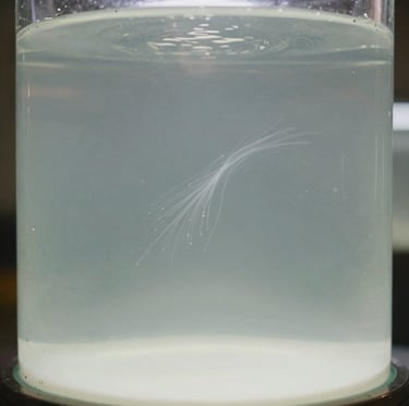 Experimental photography showing the interaction of light particles in a hazy, milky glass chamber. Faint trails of subatomic movement suggest the presence of bosons, with a palette of soft white and muted sage grey.
