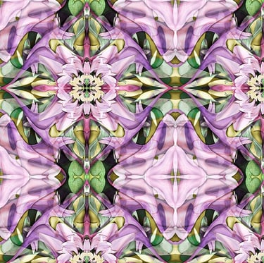 DeConstructed Photography, Abtract art, abstract photography, floral art, gladioli flower, Dame edna