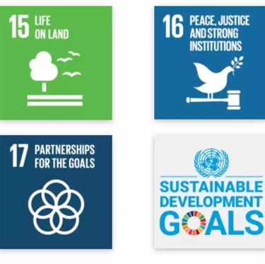 TreeAndHumanKnot presents Sustainability Certification Program to Learn Sustinable Development Goals