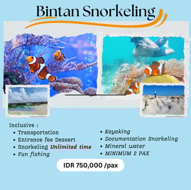 Bintan Snorkeling