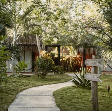 Luxory holiday home garden with palms.Rural Tourism Development with Timea Pokol