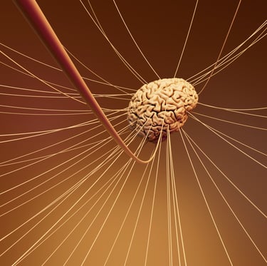 a brain , brainstorming with Timea Pokol Consultant