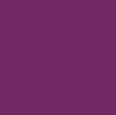 couleur fond violet
