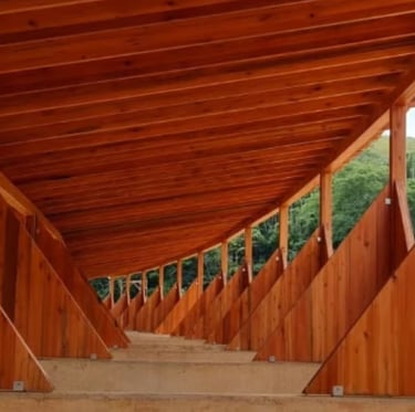 vista por dentro das baias do haras modular prefabricado