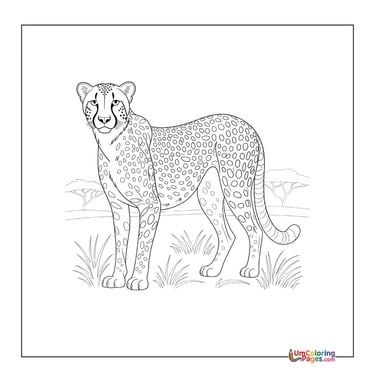 Fast cheetah coloring template safari animal for children