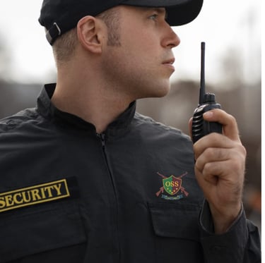 BEST SECURITY COMPANY