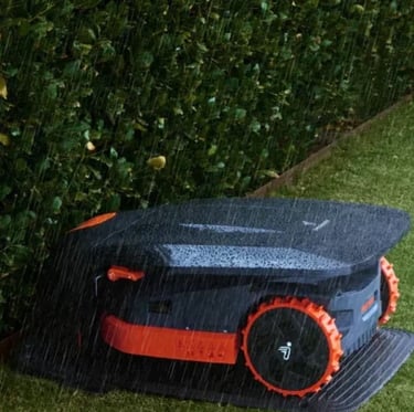 vejos roboto priežiūra