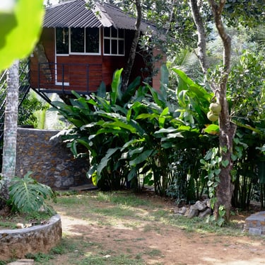 Treehouse