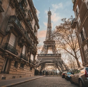 Imagem da ruas de paris e os seus vinhos.