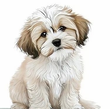 Animated image of a teacup designer breed Malshi Puppy 