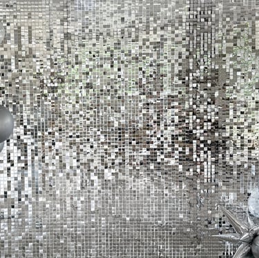 Blizgi sidabrine foto sienele, foto sienele nuoma, foto siena nuoma, foto siena gimtadieniui, siena