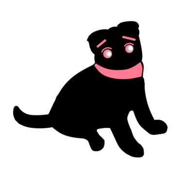 Squasha the Project Engineer