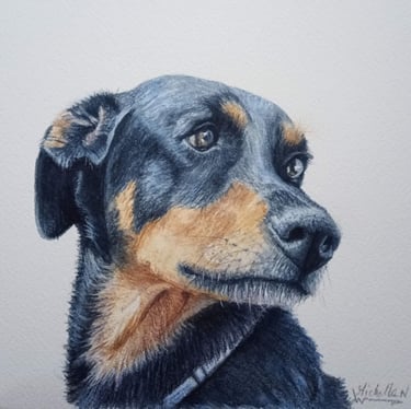 Pet Portrait painting