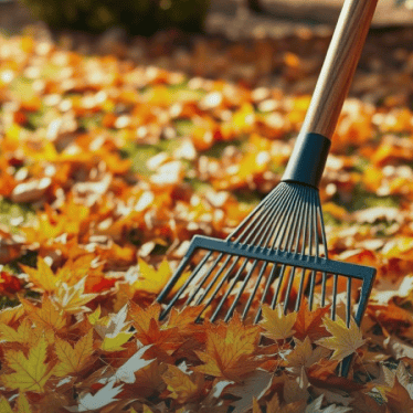 Spring and Fall Cleanups
