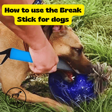 break stick tool used in dog fights to separate the animals with minimal damage