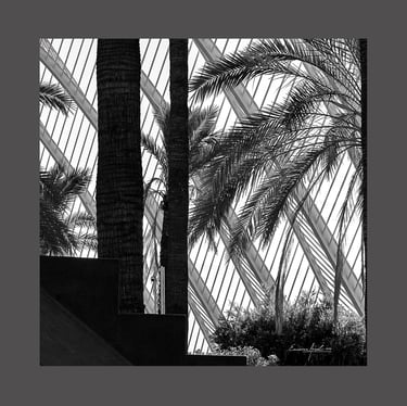 Foto de Encarna Arnal Moreno, en la exposición virtual de la web de AGFOVAL