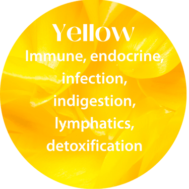 Colour Healing, Vedas, Seven Horses , Power of YELLOW