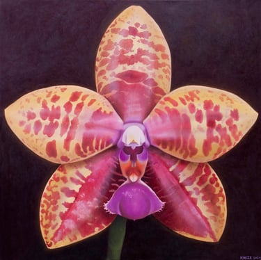 Yellow orchid portrait in hyper-realistic flora style by Christine Knize.