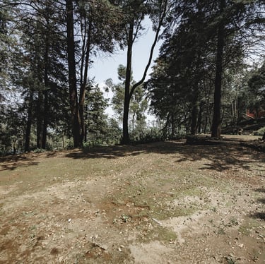 Terraza para eventos woodscape