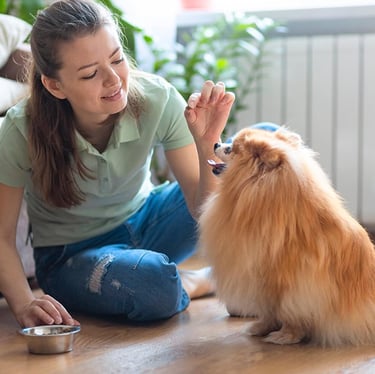 woman giving her dog a treat