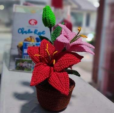 Crochet Flower Vases