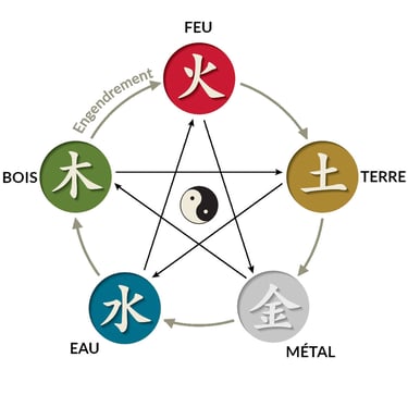 scema des 5 elements en Médecine Traditinnelle Chinoise