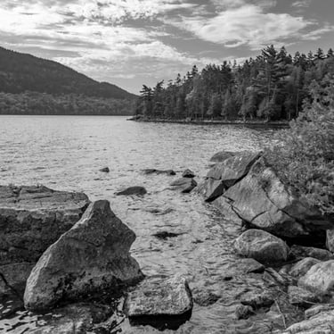 Kristen Sheehy, CAD Drafter and Coastal Landscapes, Flycatcher LLC