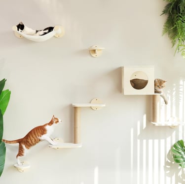 FUKUMARU Cat Wall Shelves, Wall-Mounted Furniture Set, Stable Wooden Kitty Climber with Hammock