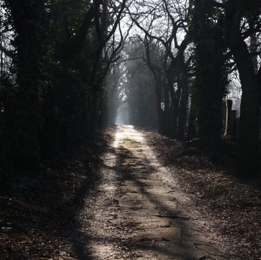 Pathway in the Jewish cemetery in Kozma utca, Budapest, Hungary