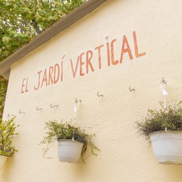 Jardí vertical, un espai verd per aprendre sobre natura i sostenibilitat