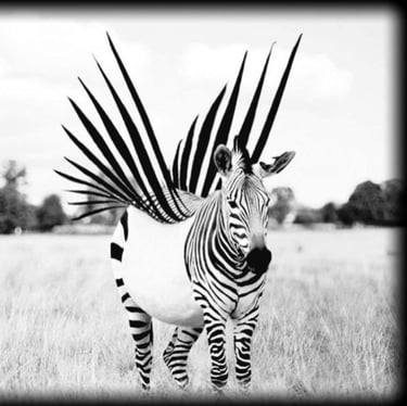 Neuroatypie Zèbre HPI TDAH TSA 