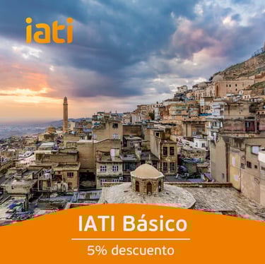 Banner IATI Básico