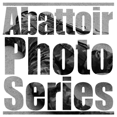 Abattoir Photo Series /2011-2012