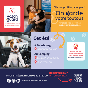 les informations patch guard : a strasbourg 4 rue de la douane et au camping annecy et lot- strasdog