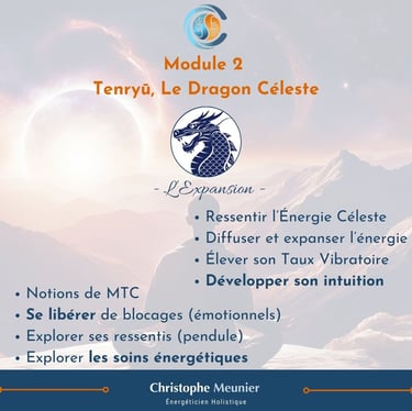 programme formation San Ryu module 2