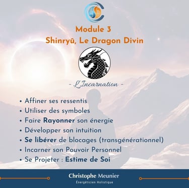 programme formation San Ryu module 3