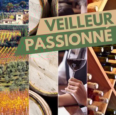 abonnement oenologie on veille au grain passionné vin lyon