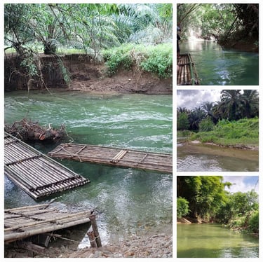 thailand khao lak bamboo rafting