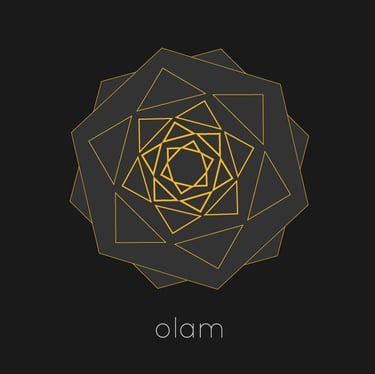 Partenaire YNCEPTION olam