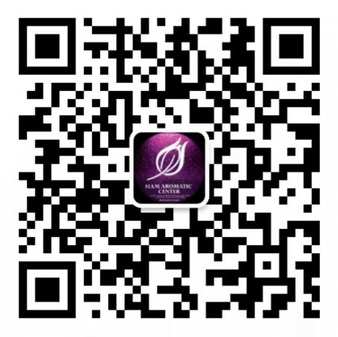 WE CHAT